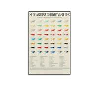 MDBJTCYZN Freshwater Aquarium Shrimp Neocaridina Varieties Color Chart Identification Guide Educational Metal Sign 8 X 12 in