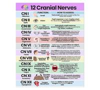 MDBJTCYZN Healthcare Education Poster - Master the 12 Cranial Nerves, Informative Wall Art for Medical Library, University Dorm or Therapist's Office(Unframed,16x24inch(40x60cm))