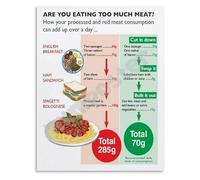 MDBJTCYZN Healthy Food Choices Poster Meat Consumption Guide Balanced Nutrition Canvas Print for Kitchen Wall Decor(Unframed,16x24inch(40x60cm))