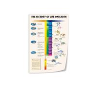 MDBJTCYZN History of Life Geological Timeline Metal Sign Evolution Chart Vintage Science Educational Art for Study Office (8 X 12 in)