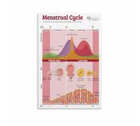 MDBJTCYZN Hormonal Health Infographic Women Body Chart Wall-Art for Womens Office Room(Framed,12x18inch(30x45cm))