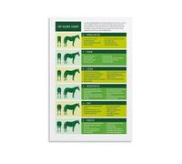 MDBJTCYZN Horse Farm Decor Equine Body Condition Score BCS Chart Wall-Art Poster for Stable Management and Veterinary Reference(Framed,16x24inch(40x60cm))