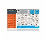 MDBJTCYZN Inspirational Human Rights Document Poster The Declaration for Office and Classroom Wall(Framed,16x24inch(40x60cm))