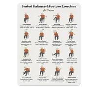 MDBJTCYZN Low Impact Senior Workout Sign Seated Chair Exercise Chart for Elderly Gentle Fitness Guide Aluminum Home Wall-Art 8 X 12 inch