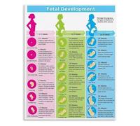 MDBJTCYZN Nursery Decor Poster Pregnancy Growth Chart Development Stages Educational Wall-Art for Expecting Parents Gift Childbirth Education(Framed,16x24inch(40x60cm))