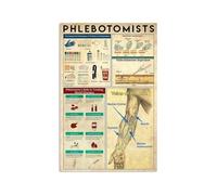 MDBJTCYZN Nursing Student Study Aid Metal Sign Human Arm Veins Anatomy Chart Phlebotomy Reference Office Wall-Art 8 X 12 in
