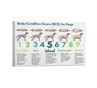 MDBJTCYZN Pet Owner Education Metal Tin Sign Dog Body Condition Score Chart BCS Guide Health Monitoring Poster for Veterinary Student Home Kennel (8 X 12 inch)