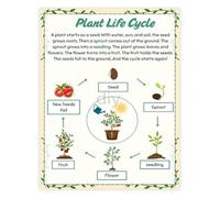 MDBJTCYZN Plant Life Cycle Educational Biology Poster Science Learning Chart for Classroom Home School Decor(Unframed,16x24inch(40x60cm))
