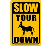 MDBJTCYZN Road Rage Metal Sign Slow Your Ass Down Retro Street Style Decor 8 X 12 in
