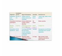 MDBJTCYZN Six Steps to Kitchen Canvas Painting Food Protocol for Home and Professional Use Decor(Unframed,12x18inch(30x45cm))