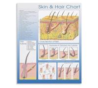 MDBJTCYZN Skin and Hair Care Chart Beauty Guide Educational Poster Canvas Wall-Art for Salon Studio Decor(Unframed,12x18inch(30x45cm))