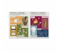 MDBJTCYZN STEM Science Poster Chemical and Physical Changes Chart Classroom Wall Decor Print for Teachers Students Homeschool Learning Material (Unframed,16x24inch(40x60cm))