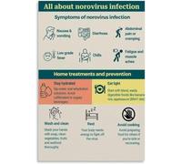 MDBJTCYZN Stomach Bug Norovirus Symptoms Poster Health Education Chart Reference for Clinic Hospital School Office Daycare Wall-Art Sign(Unframed,12x18inch(30x45cm))
