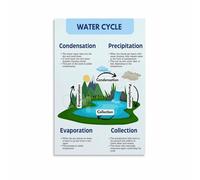 MDBJTCYZN The Water Cycle Canvas Print - Educational Science Poster for Classroom, Homeschool Room & Science Teacher Gift Wall-Art(Framed,12x18inch(30x45cm))
