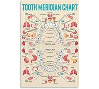 MDBJTCYZN Tooth Organ Connection Chart Poster - Meridian Reference Based on TCM, Educational Wall-Art for Acupuncture Clinic, Classroom Study(Framed,12x18inch(30x45cm))