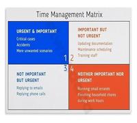 MDBJTCYZN Urgent Important Time Management Matrix Canvas Wall-Art Print for Office Home Productivity Decor(Framed,08x12inch(20x30cm))