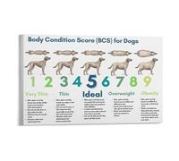 MDBJTCYZN Veterinary Clinic Wall-Art Dog BCS Body Condition Score Chart Canvas Print for Animal Health Education and Pet Care Reference Decor(Framed,16X24inch(40X60cm))