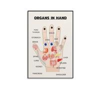 MDBJTCYZN Vintage Educational Metal Sign Traditional Chinese Medicine Organ Chart Acupuncture Body Wall Decor 8 X 12 in