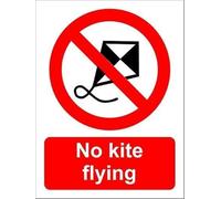 MDBJTCYZN Warning No Kite Flying Allowed Antique Style Tin Sign Cracked Paint Effect For Rooftop Terrace Balcony High Rise Building Deck 8 X 12 inch