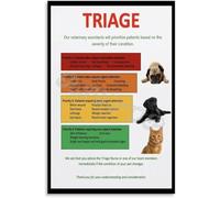 MDBJTCYZN What to Do Pet Emergency Poster First Aid Reference Guide for Dog Cat Owners Home Veterinary Clinic Decor Educational Sign(Framed,08x12inch(20x30cm))