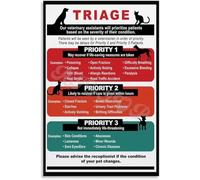 MDBJTCYZN When to Call the Vet Poster Pet Emergency Symptom Guide for Dogs Cats Home Reference Chart Educational Wall Decor Art(Framed,08x12inch(20x30cm))