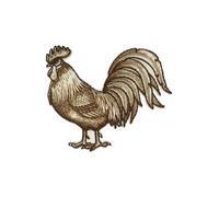 mdc - Parche termoadhesivo, diseño de gallo (5,9 cm x 5 cm)