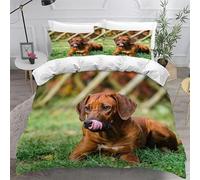 MDKLXIDF Funda Nordica Cama 135 Perro Perdiguero de Oro Juego de Funda de Edredón para Jóvenes Adultos con Cierre Cremallera, Microfibra Funda Nórdica 230x220cm + 2 Funda de Almohada 50x75cm