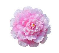 MDYTPT Paraguas de peonía artificial grande para ventana de estudio, accesorios de tiro, festivales, celebraciones, bailes, actuaciones, peonías (rosa, 120 cm)