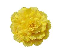 MDYTPT Paraguas de peonía artificial grande para ventana, estudio, tiro, festival, celebración, baile, actuación, peonía (amarillo, 100 cm)