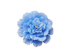 MDYTPT Paraguas infantil con flores de peonía para niños y adultos, accesorios de baile para grandes eventos, decoración interior de boda (azul)