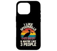 Me gusta Spoonbill y tal vez 3 personas Carcasa para iPhone 16 Pro