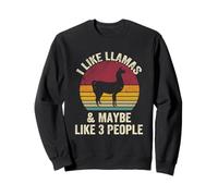Me gustan las llamas y tal vez como 3 personas amante efecto vintage Sudadera