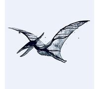 Me rex - Pterodactyl/plesiosaur [Vinilo]