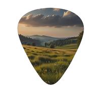 Meadows in Laken - Púas de guitarra estampadas, juego de 12 piezas con 3 grosores diferentes, adecuadas para guitarra eléctrica y acústica