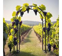 Meal Eble Pears - Soporte de enrejado de arco de boda para planes de escalada al aire libre, decoración de boda, color negro, 1,2 m x 2,2 m (140240 cm ajustable)