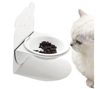 Meal Holder Spill-Proof Ceramic Dish Tilted For Animals Small Medium Large Breeds Kitten Puppy Healthy Eating Diet | Cat Bowl | Slow Down Eating Cat Food Dish,
