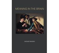 Meaning in the Brain