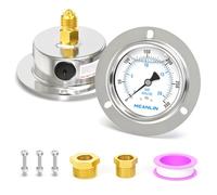 MEANLIN MEASURE 0~20BAR Manómetro de presión con llenado de líquido, montaje en panel con brida frontal, 1/4" BSP 2.5"DIAL CARA,caja de acero inoxidable con tornillo Phillips y tuerca,+/-3-2-3%.