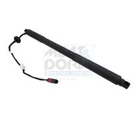 Meat & Doria 1738 Membrana