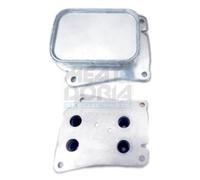 MEAT & DORIA Radiador Aceite motor para Mercedes-Benz Clase C W203 W204 S204