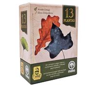 Mebo 13 Plantas | Juego de Cartas para Toda la Familia | 3 a 6 Jugadores | 20 Minutos | +8 años