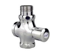 Mecanismo de descarga temporizado fuerte, válvulas de drenaje con botón pulsador, no control manual, flujos temporizados para instalaciones de baño, válvulas de descarga de inodoro de latón fuerte