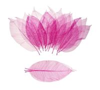 MECCANIXITY 100 hojas de esqueleto, árbol de goma de 9.8 a 11 pulgadas, hojas reales, álbum de recortes naturales para resina, manualidades, tarjetas, ramos de boda, regalo de temporada, decoración