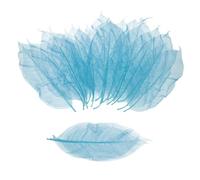 MECCANIXITY 100 hojas de esqueleto, árbol de goma de 9.8 a 11 pulgadas, hojas reales, álbum de recortes naturales para resina, manualidades, tarjetas, ramos de boda, regalo de temporada, decoración