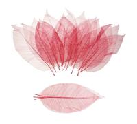 MECCANIXITY 100 hojas de esqueleto, árbol de goma de 9.8 a 11 pulgadas, hojas reales, álbum de recortes naturales para resina, manualidades, tarjetas, ramos de boda, regalo de temporada, decoración