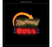 Mechanical Bull