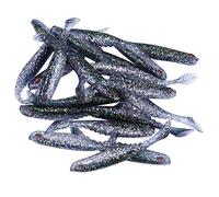 MechKit Señuelo de Pesca de Silicona de simulación Artificial, Cebo Suave con Cola en T, Accesorio Suave, Juego de 20 Piezas Reutilizable de Alto Rendimiento para Pescadores de (Brillo Negro)