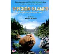 MECHÓN BLANCO: LAS AVENTURAS DEL PEQUEÑO CASTOR DVD