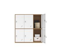 MECOLOR 4,6,9 Puertas de Metal Armario de Oficina empleados Uso pequeños armarios Dormitorio Cubos, Sala de Estar y Escuela Suelto, Organizador de Almacenamiento para niños (White,6D)