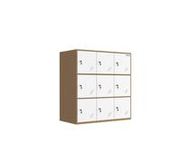 MECOLOR Pequeños armarios de 4, 6 y 9 Puertas de para empleados o Personal de Oficina en hogares, supermercados, gimnasios, centros comerciales, para Documentos, Bolsas de Tela